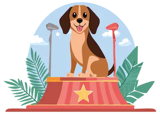 Illustration d'un dressage de chien